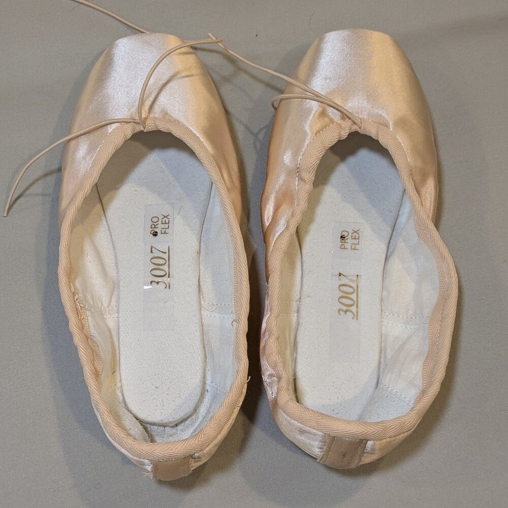 Grishko 3007 Pro Flex Point Shoes